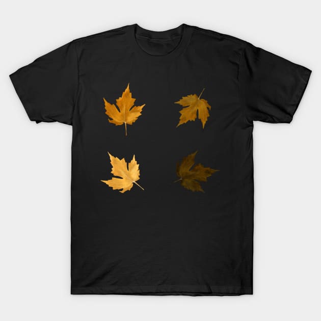 Autumn Maple Leaf Sticker Pack 4 Leafs T-Shirt by ZOTAPHOTOSTUDIO